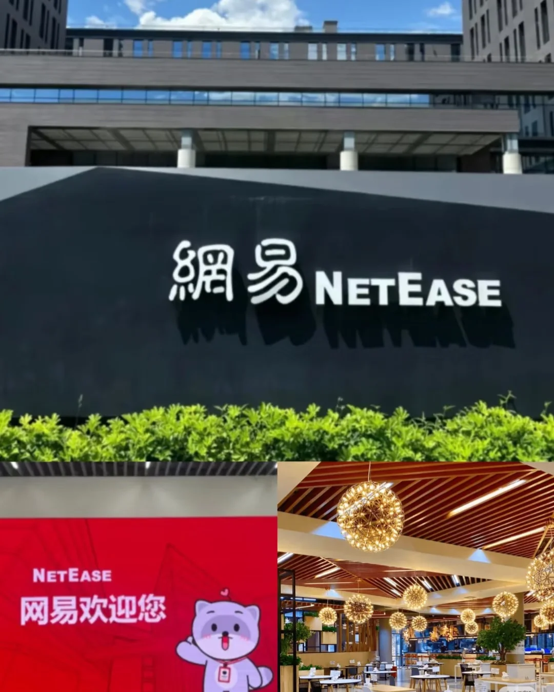 网易实习找继任