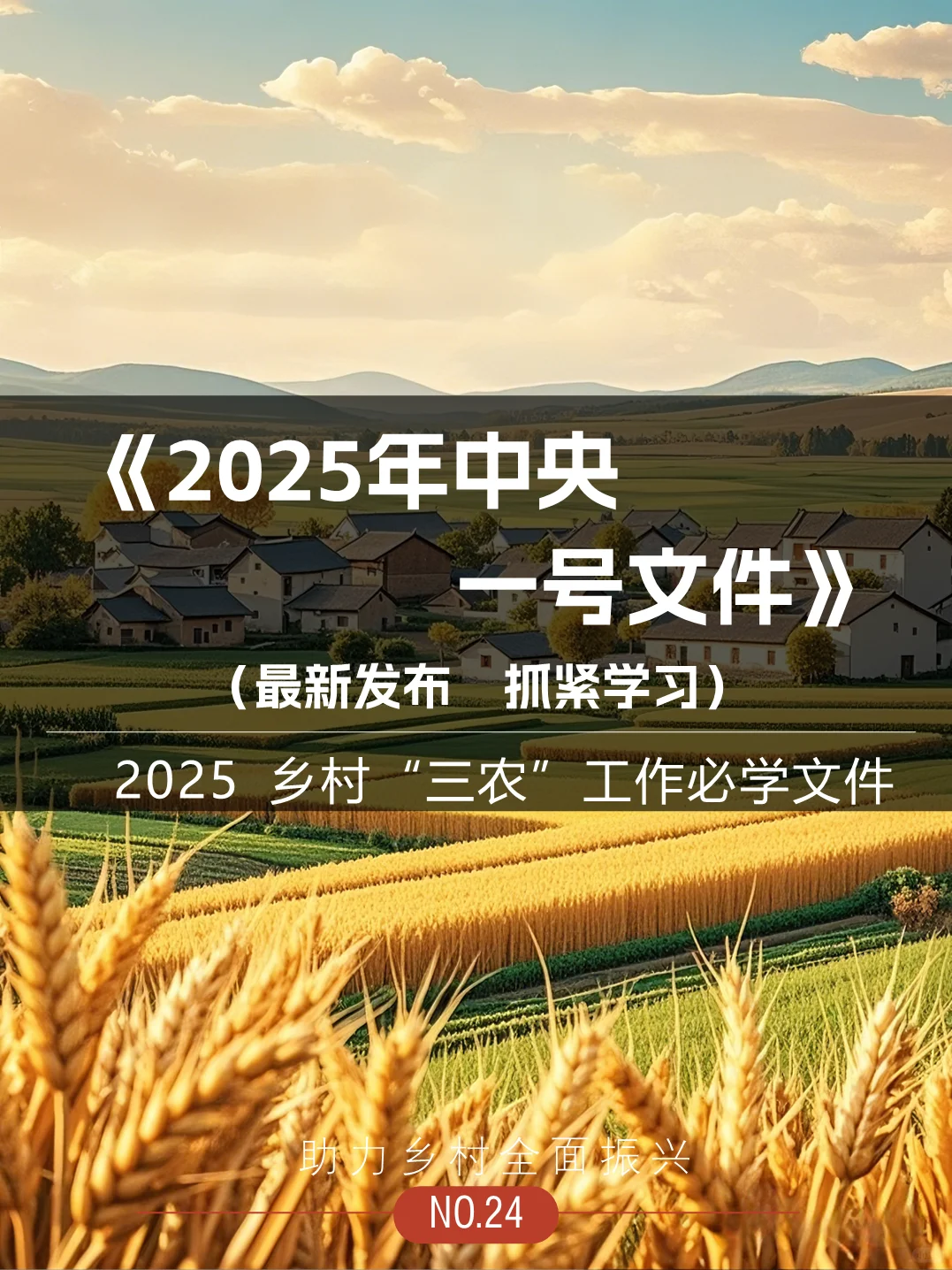 重磅丨2025中央一号文件发布，立马学习