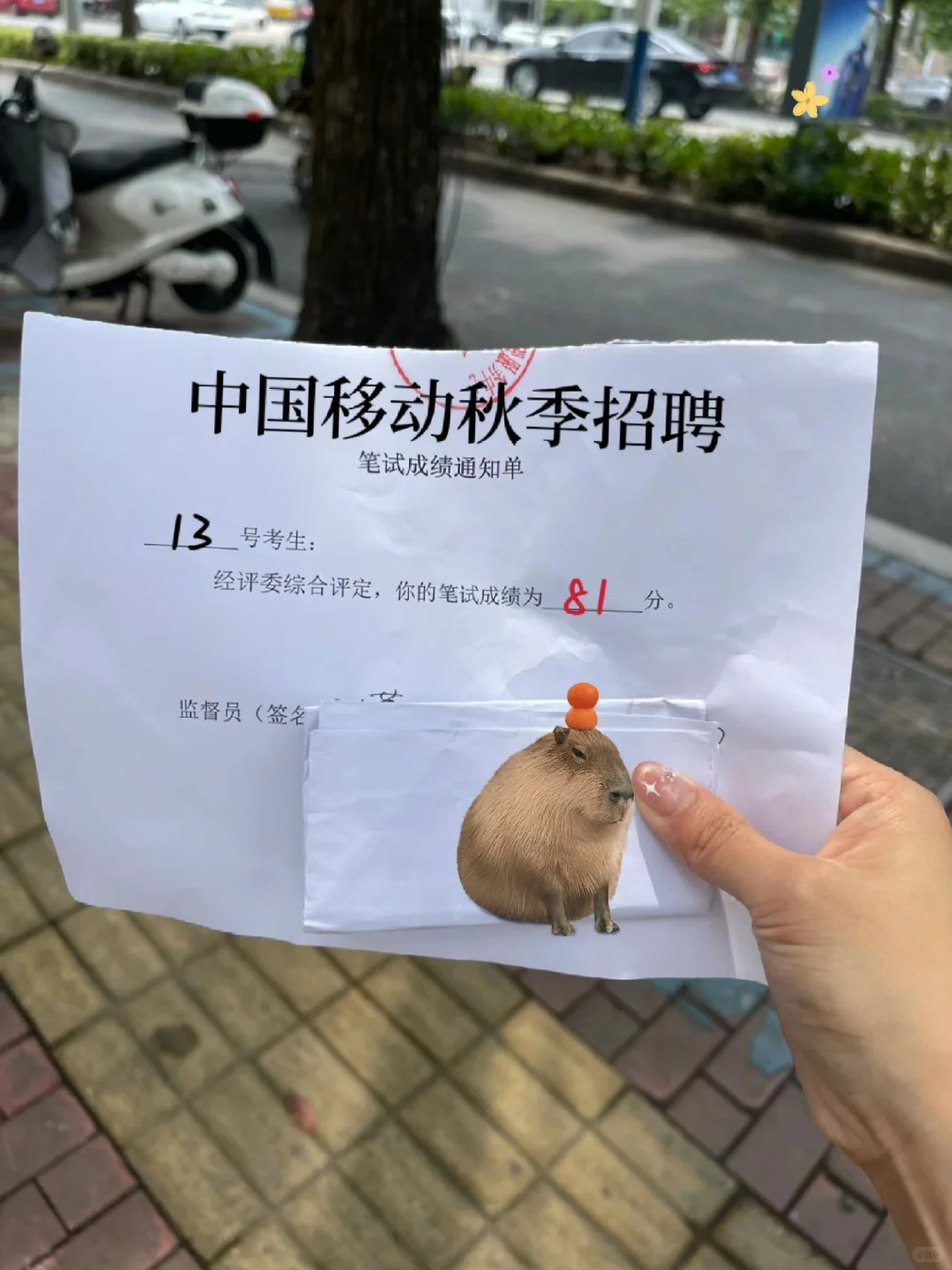 中国移动秋季招聘3天背完81+