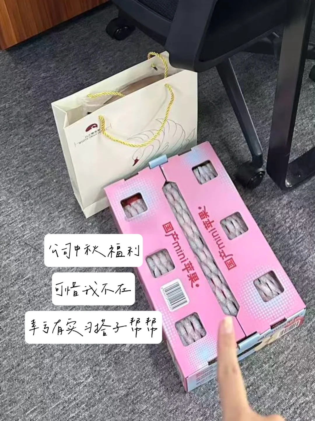 广州双休护肤品公司实习日记📔（可内推）
