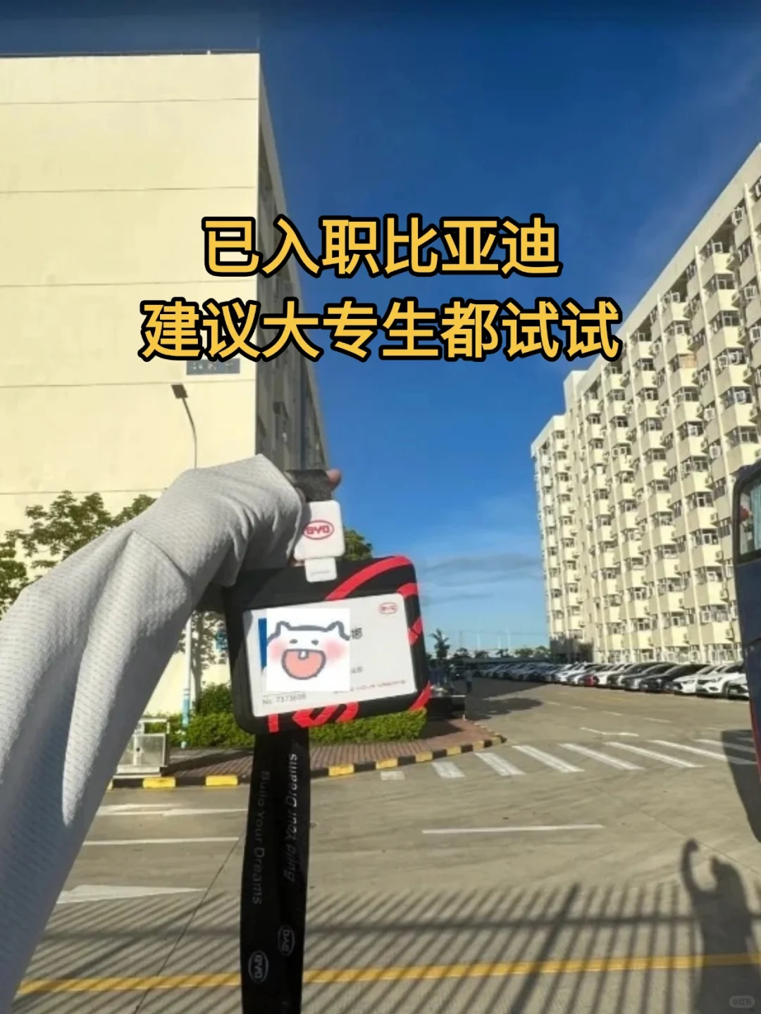 建议大专生冲比亚迪车载岗，实习9k双休