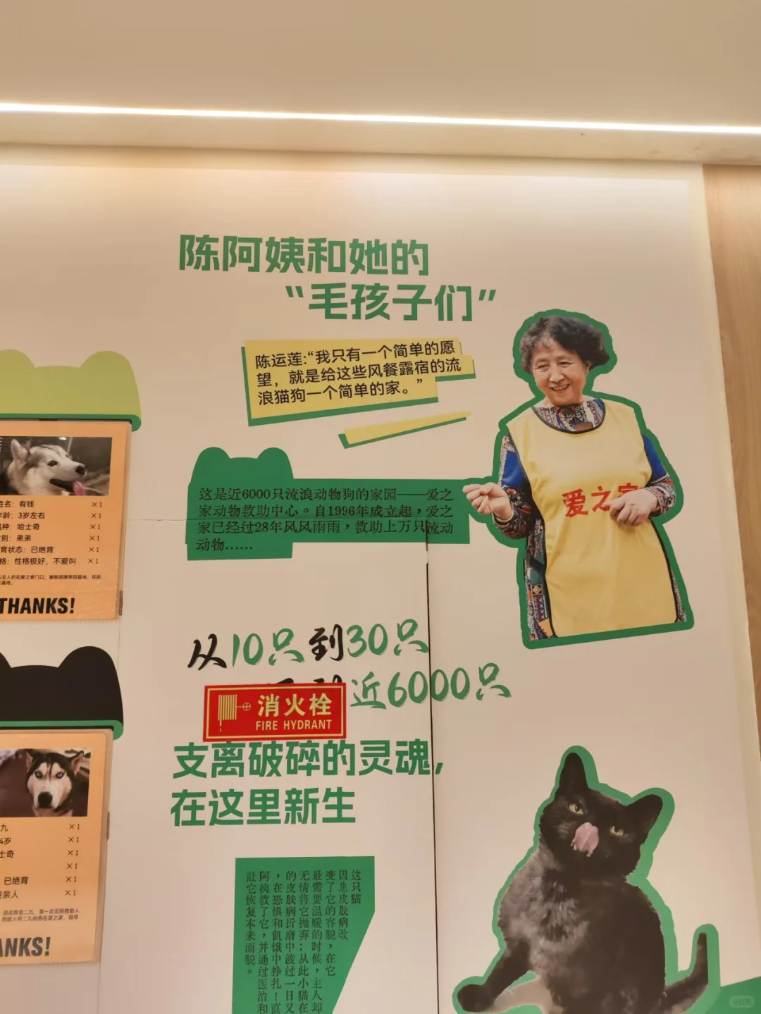 青年视角出发，社区如何触达年轻人？