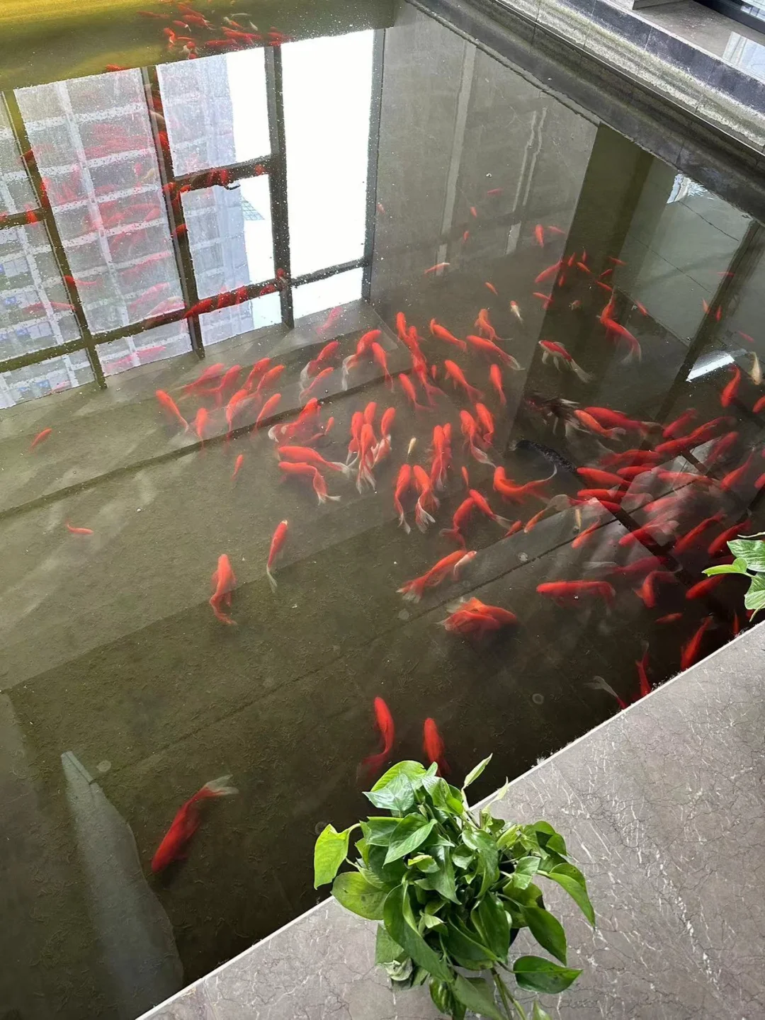 年后入职巨子生物真的很后悔