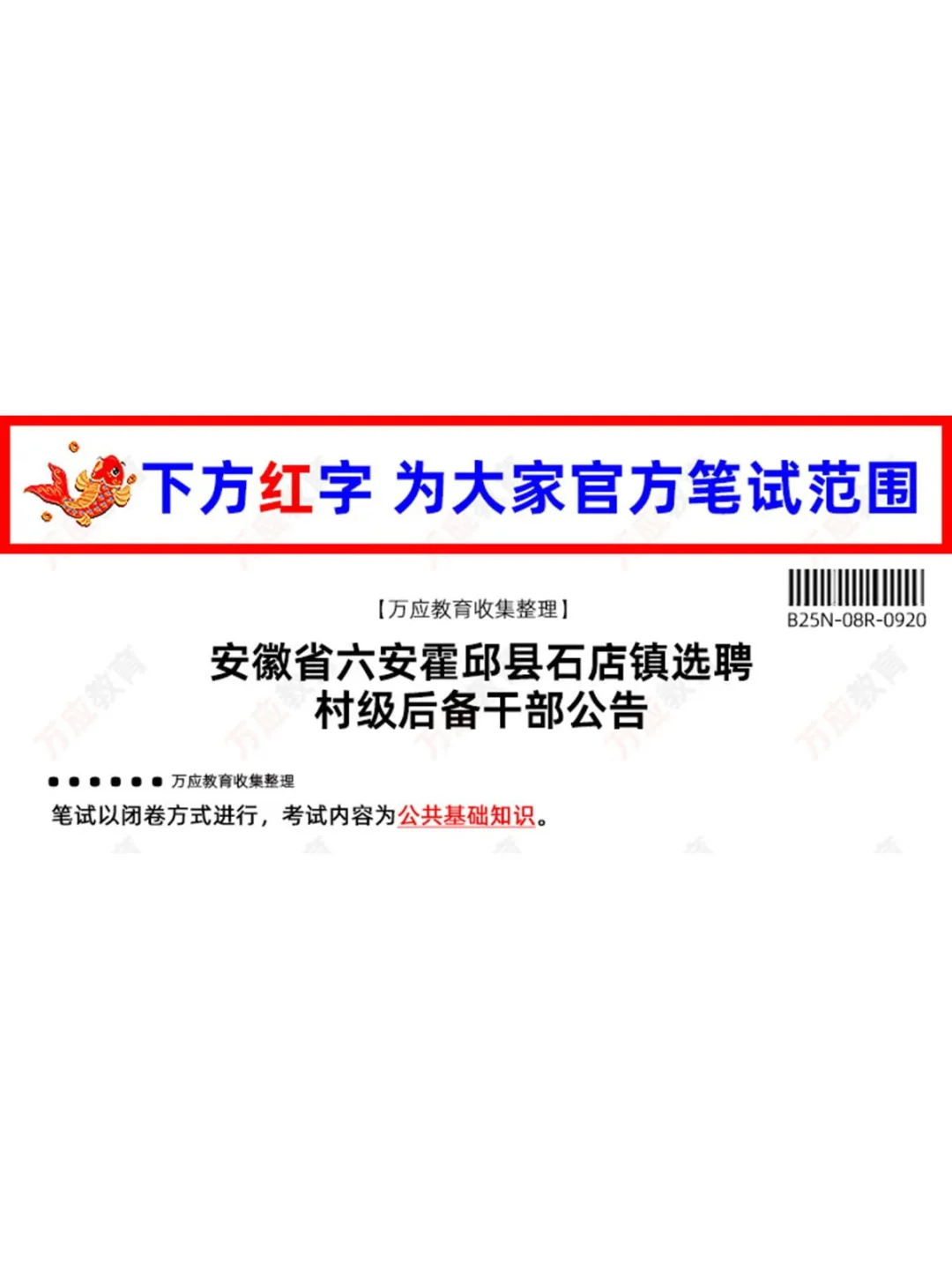 2025安徽省六安市霍邱县石店镇选聘村级后备