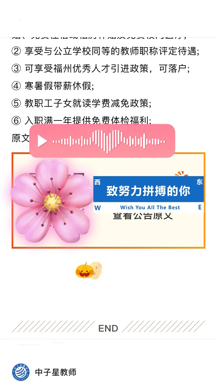 🗾福州2025年公开招聘教师公告！