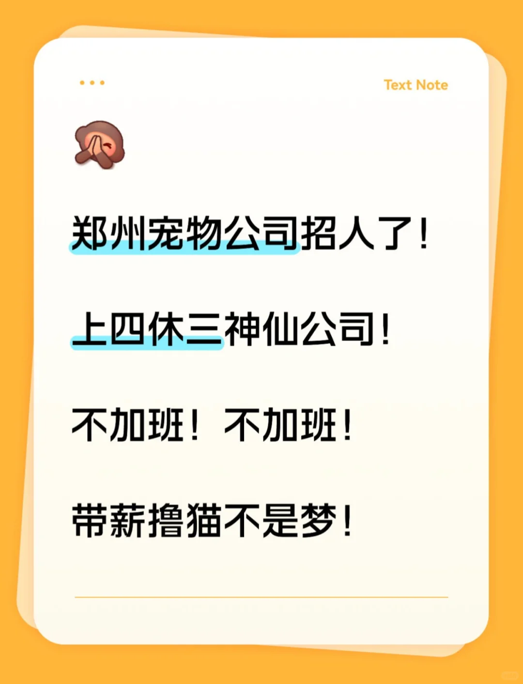 宠物公司招人啦！上四休三带薪撸猫太香了~