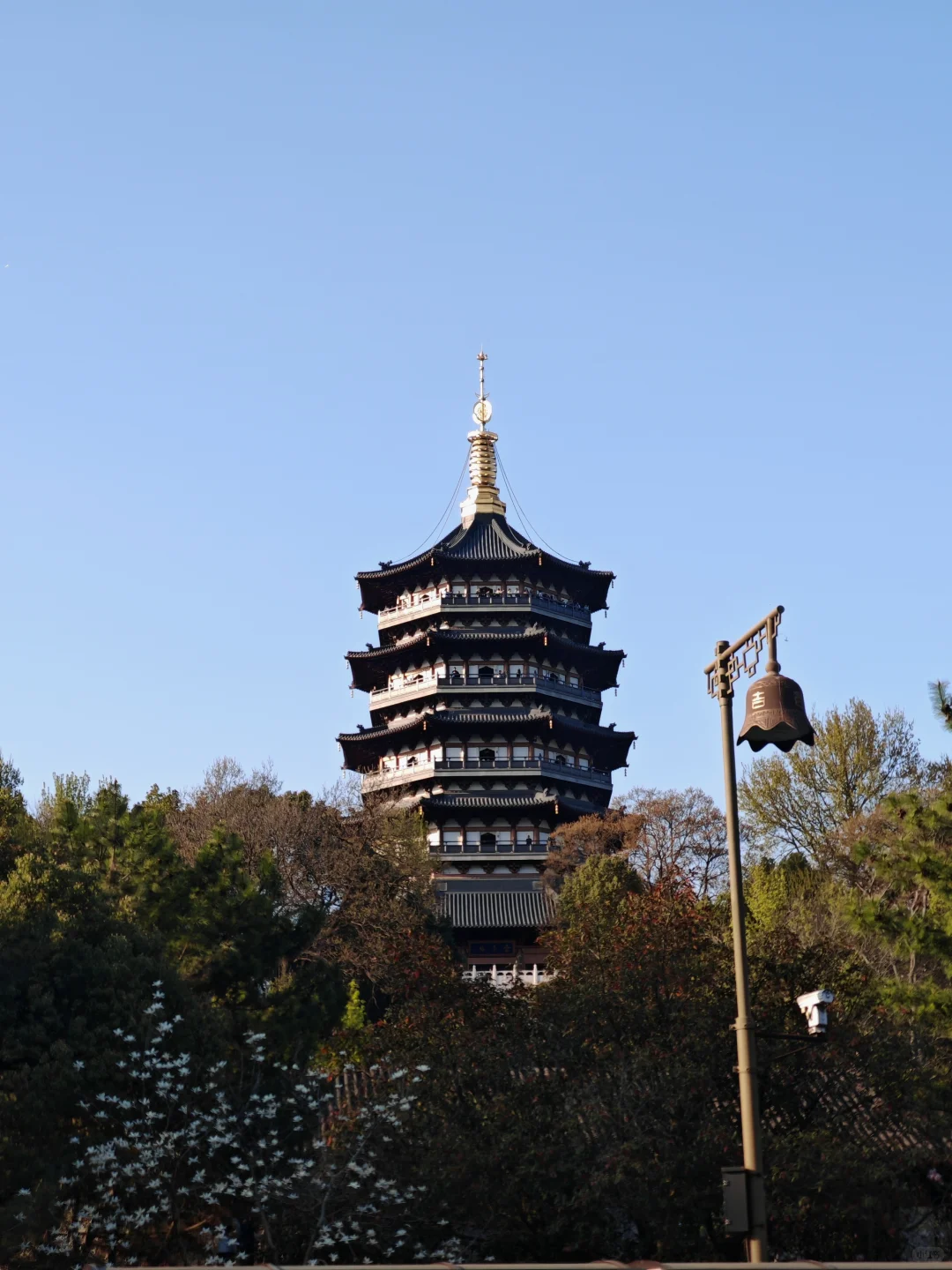 留美8年，回国工作一周年有感！