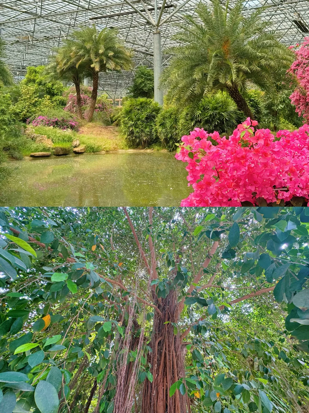 这么近那么美-🏕️五一去京郊河北大厂游玩