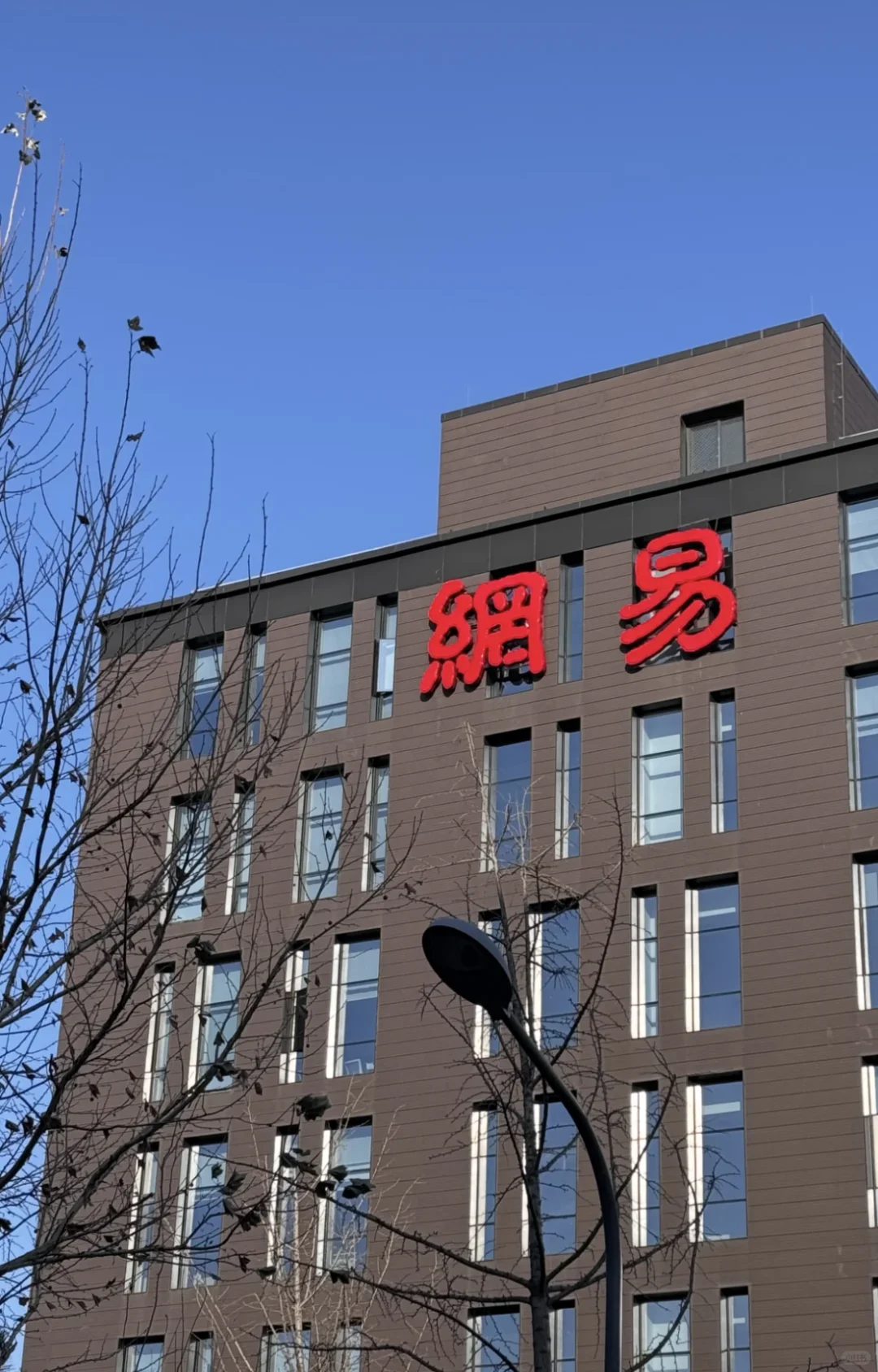 自从内推后，薪资也好了不少！