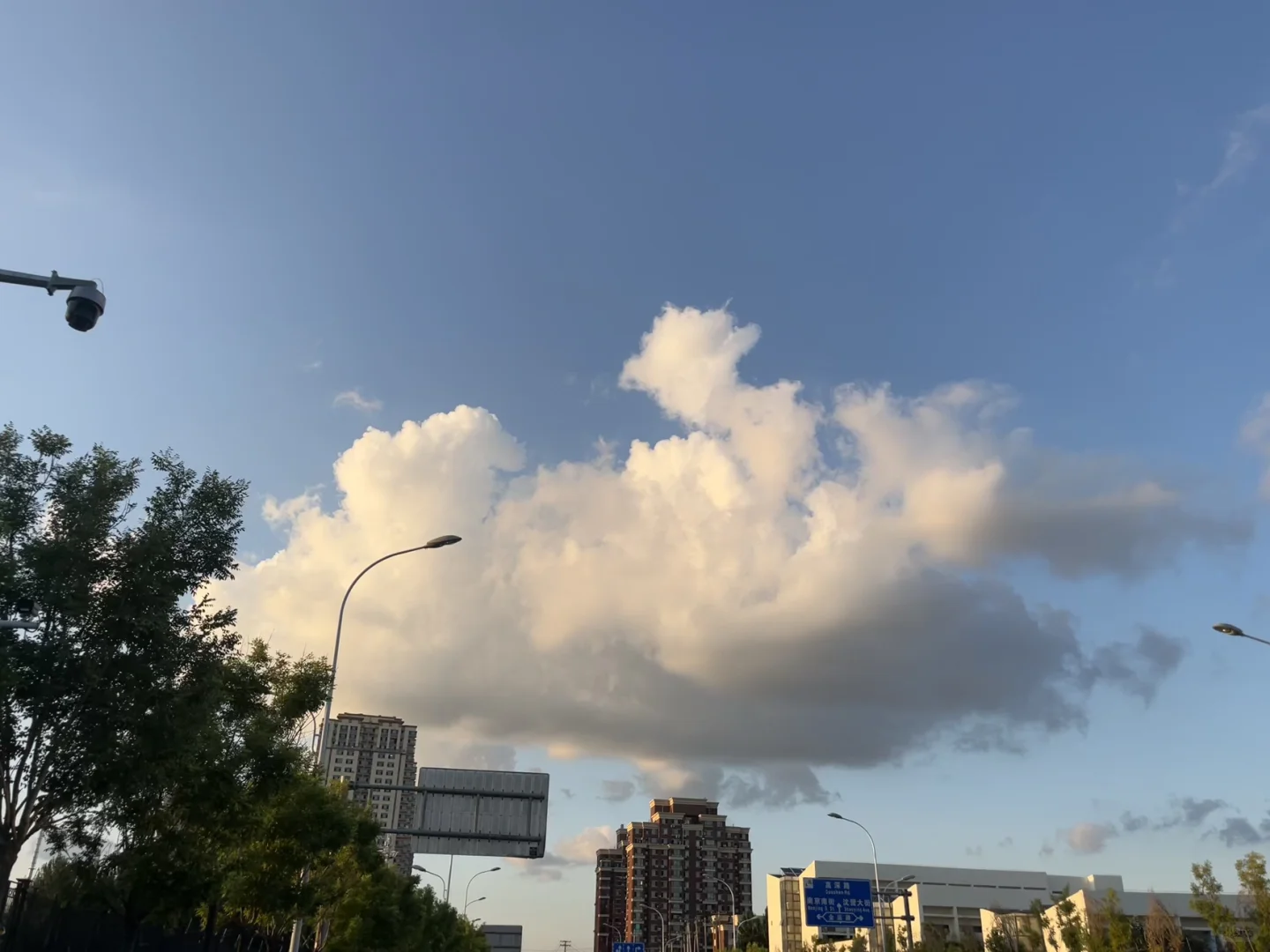 售后技术支持项目急聘内推