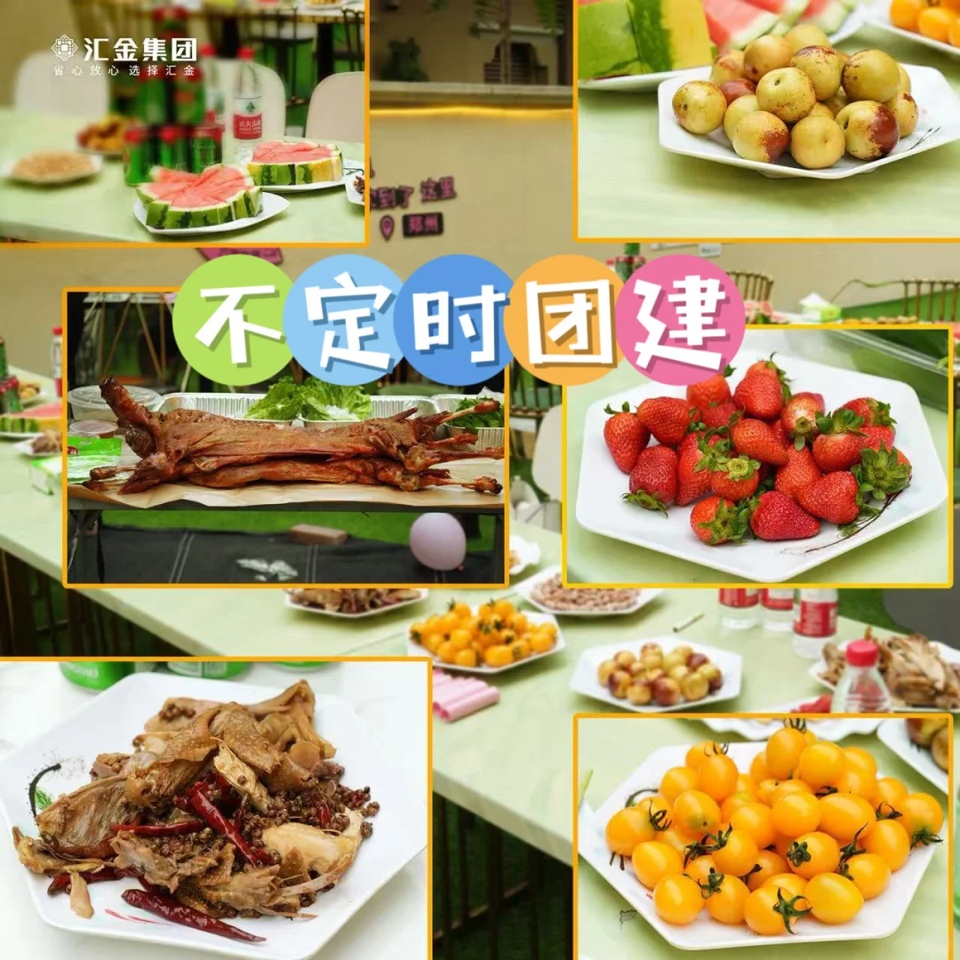 宠物公司招人啦！上四休三带薪撸猫太香了~
