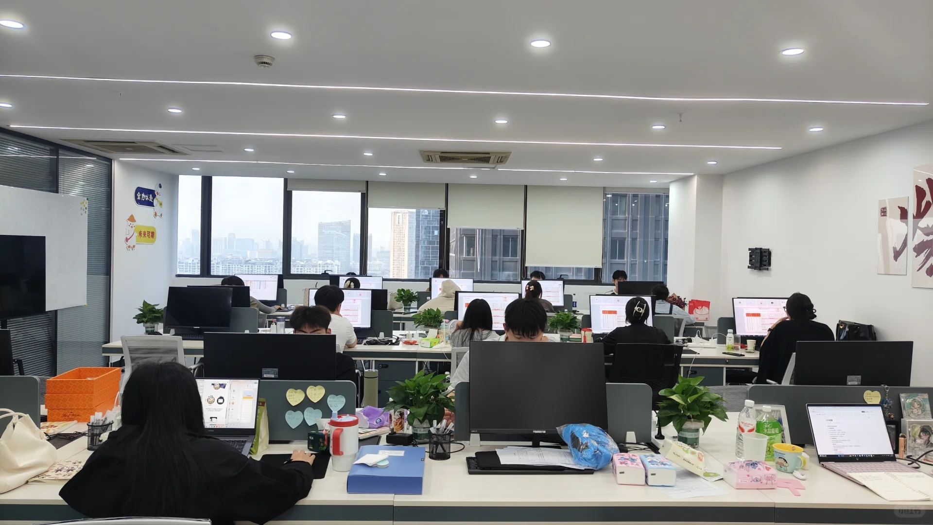 合肥初创公司招人啦~