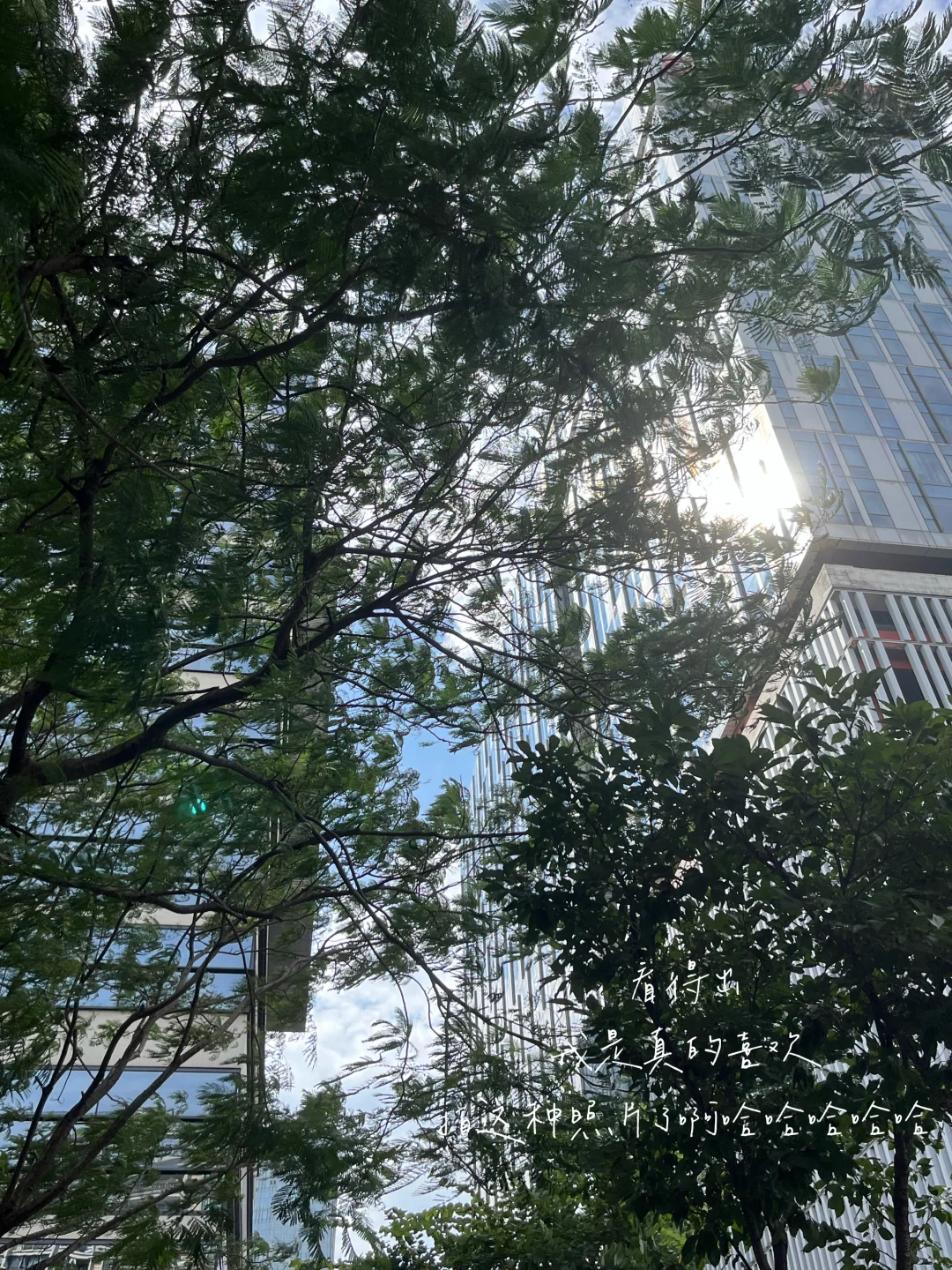 广州双休护肤品公司实习日记📔（可内推）