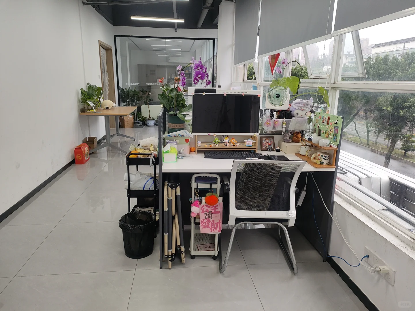 我们的办公室也太温馨了！在温江，缺搭子！