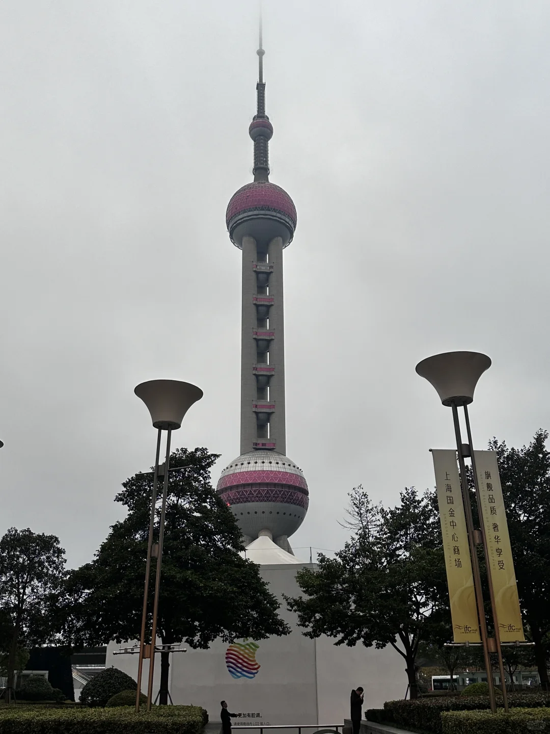 法学老鼠实习之律所测评1️⃣（不完全版）