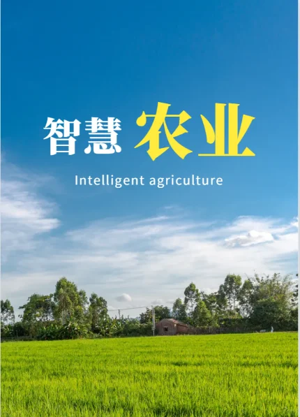 农业管理/农村发展复试-热点问题答题模板