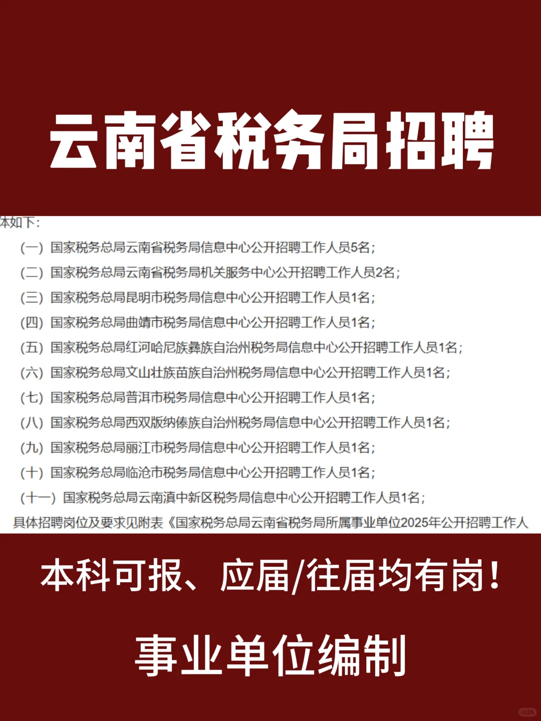 云南省税务局招聘、应届/往届均有岗！