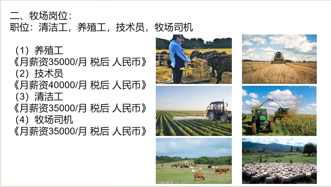 澳大利亚出国劳务/不吹嘘/入职之前签署合同