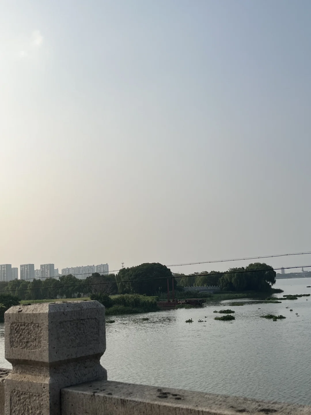 外贸部要扩招招人