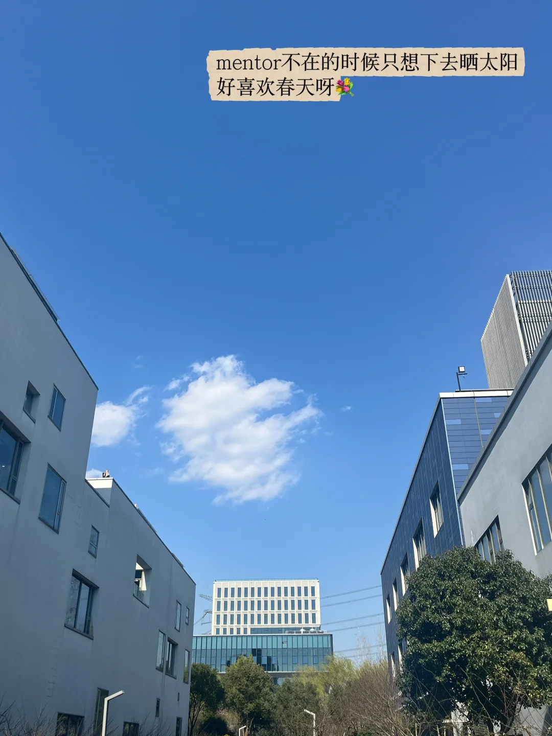 保完研后如何找第一段互联网实习（粉领版1️⃣