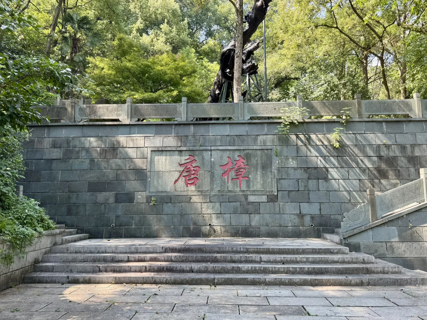 避开人潮❗️杭州南高峰小众宝藏徒步路线✨