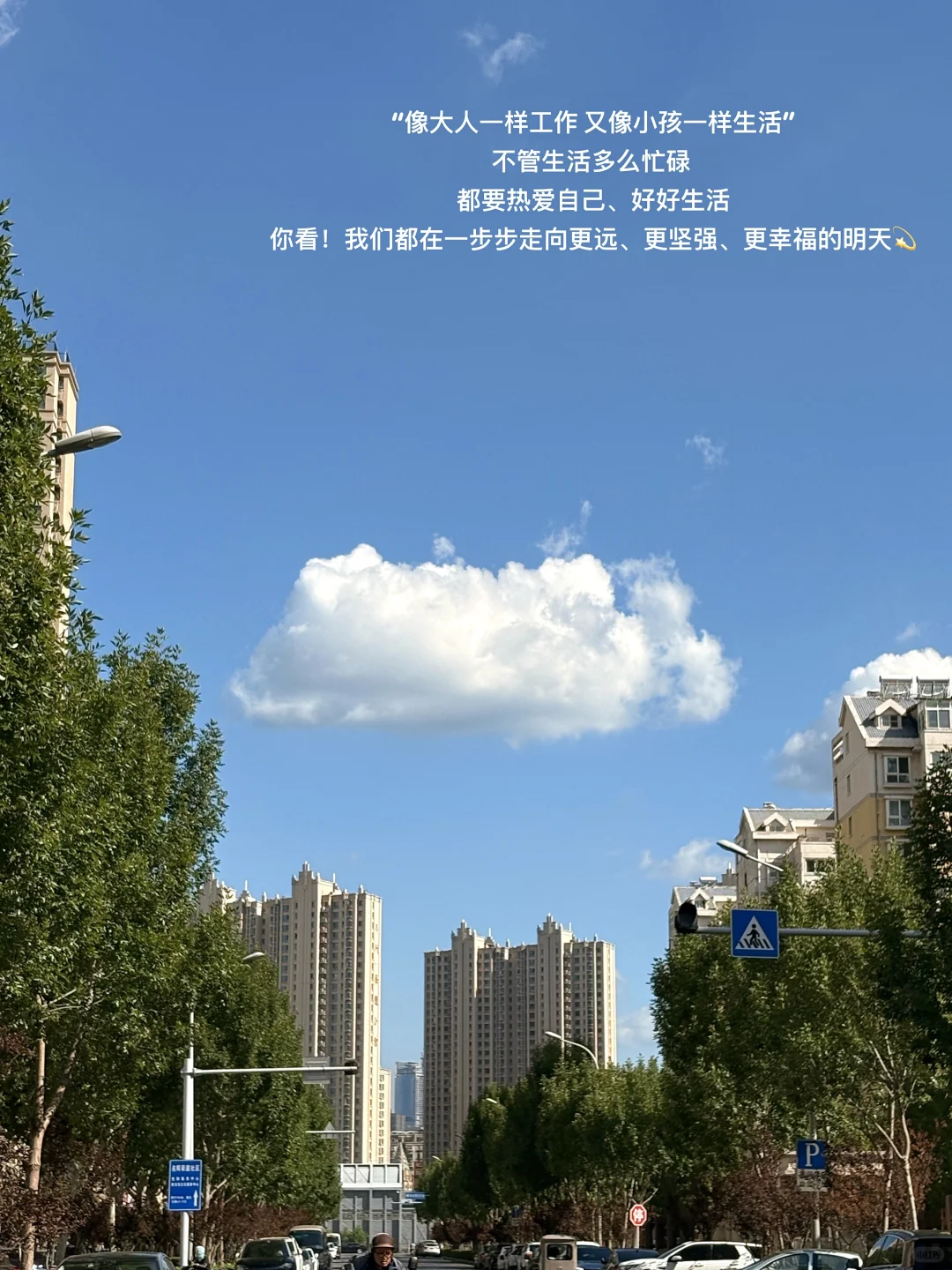 大三实习plog｜幸福生活稳步向好