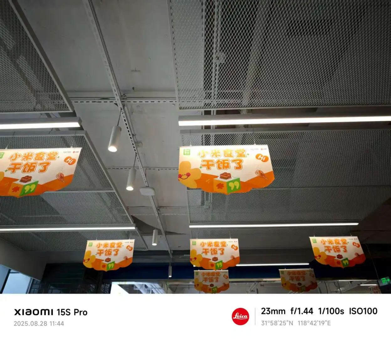 小米扩招10000人 无偿内推