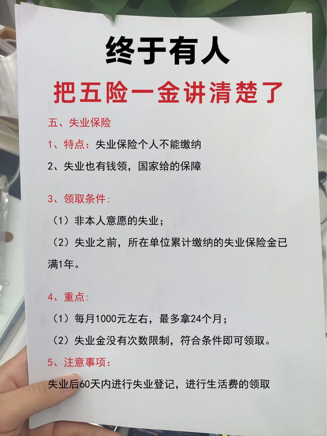 五险一金终于有人讲清楚了！🔥