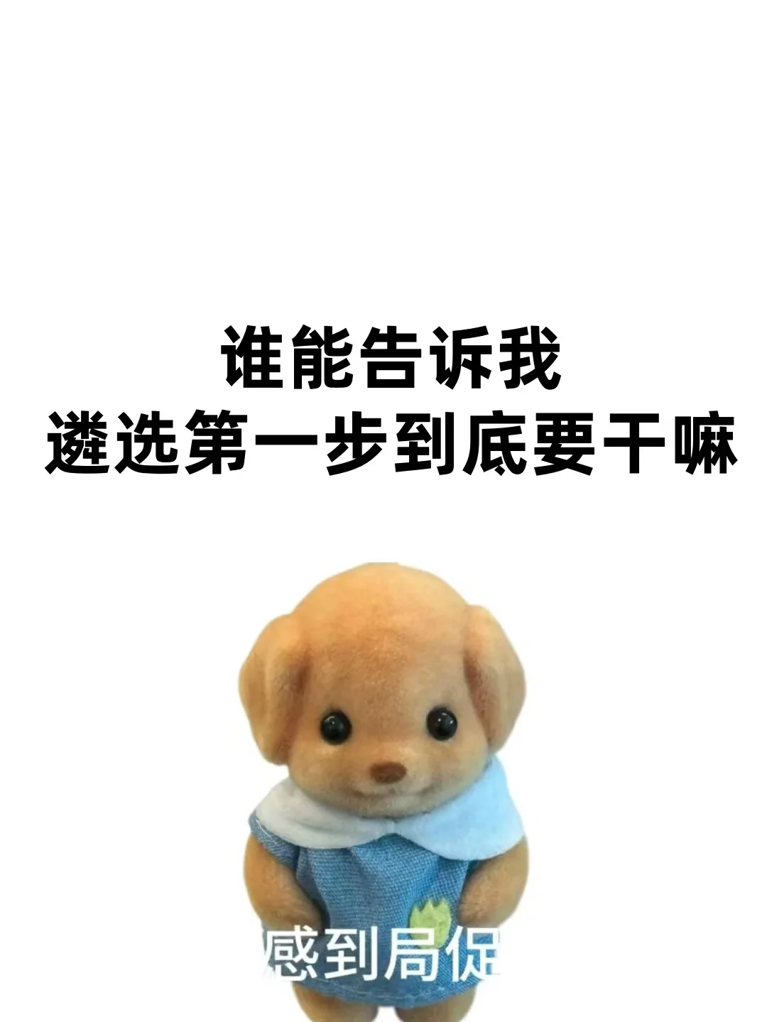 老天奶，谁能告诉我遴选第一步要干嘛？？