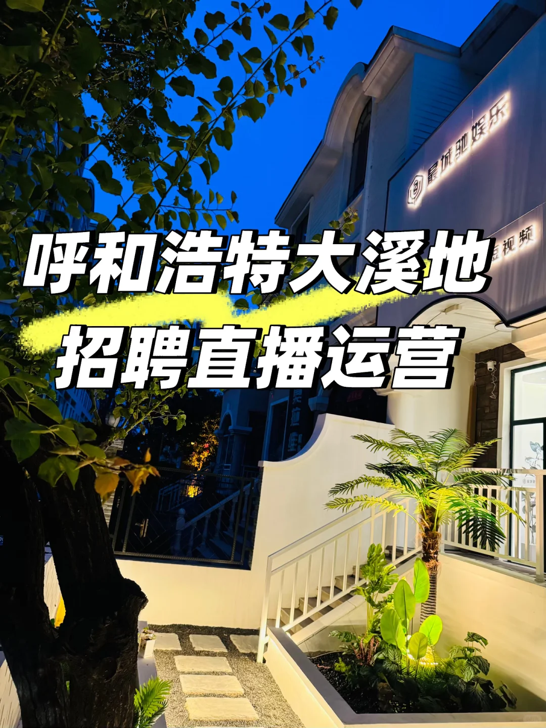 呼和浩特招聘直播运营 工作轻松不累💃