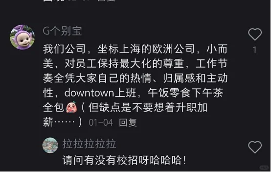 扒烂xhs，才发现最适合草包留子的外企居然是