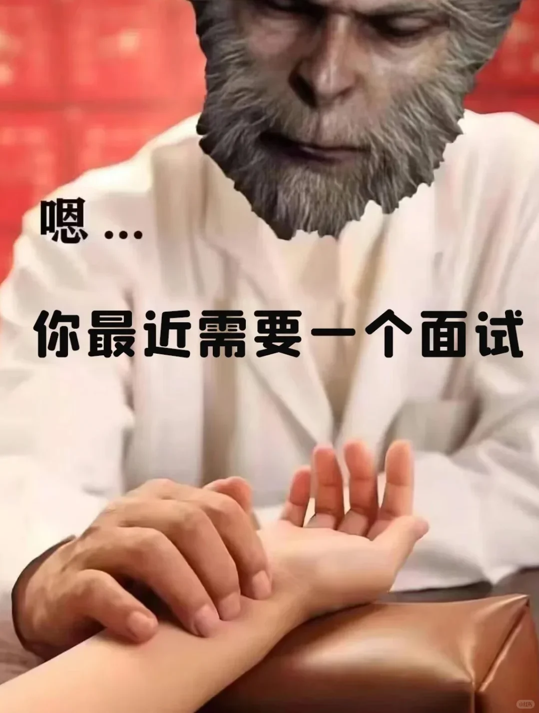 招聘表情包分享。招人表情包