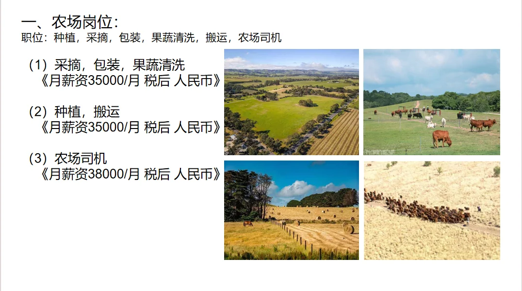 澳大利亚出国劳务/不吹嘘/入职之前签署合同