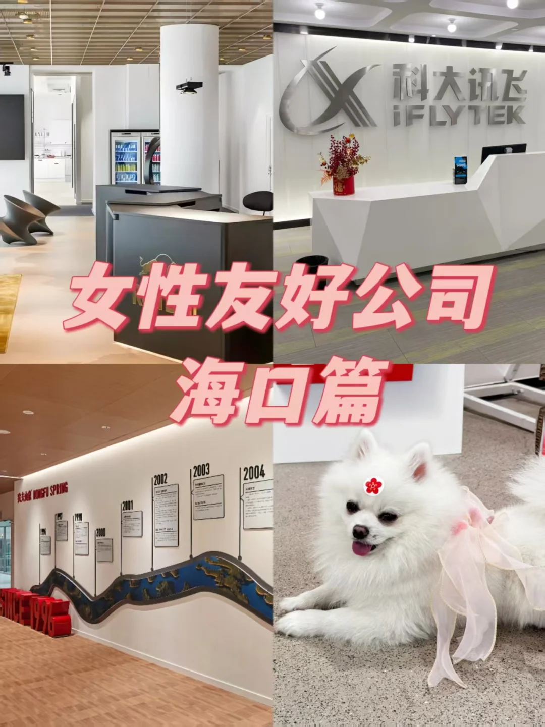 女性友好公司 海口篇