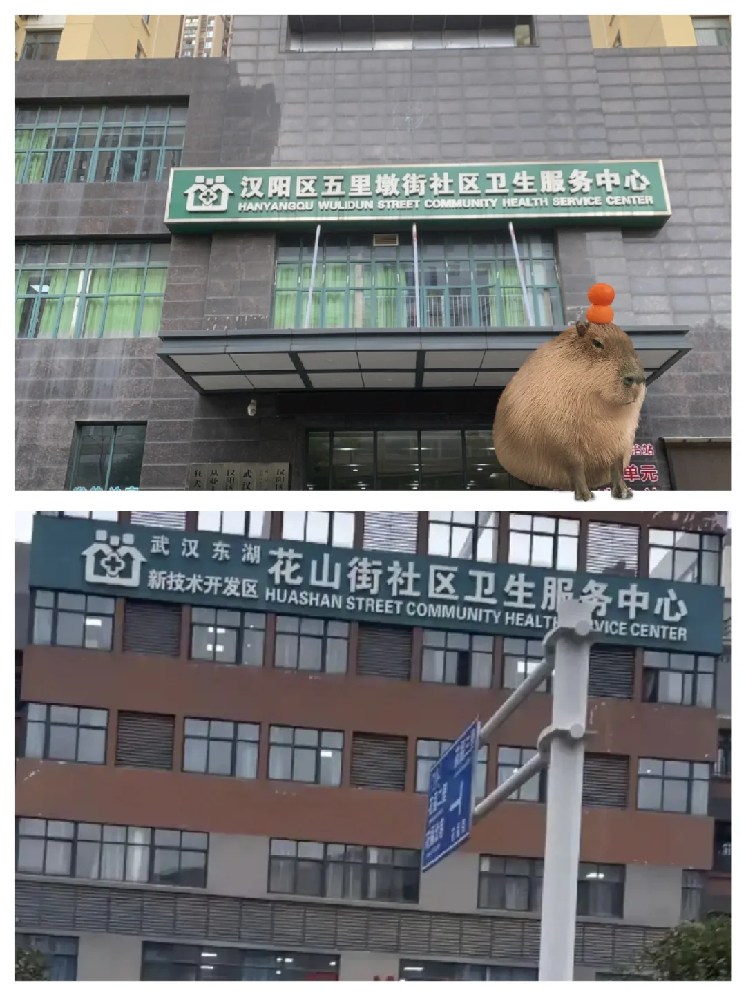 社区医院谁来？护士和行政，无夜班+双休月6
