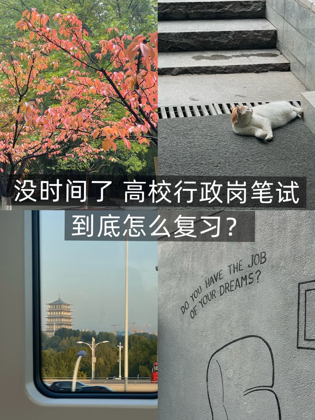 Plog|高校行政岗到底怎么复习？！(速成版）