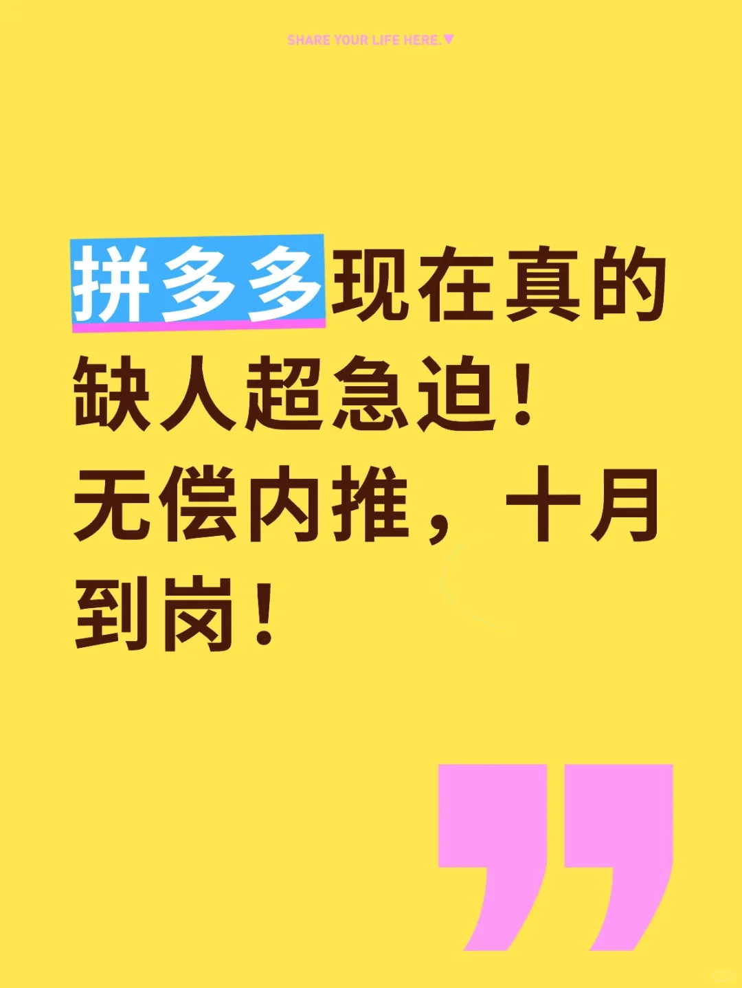 PDD无偿内推，十月到岗！