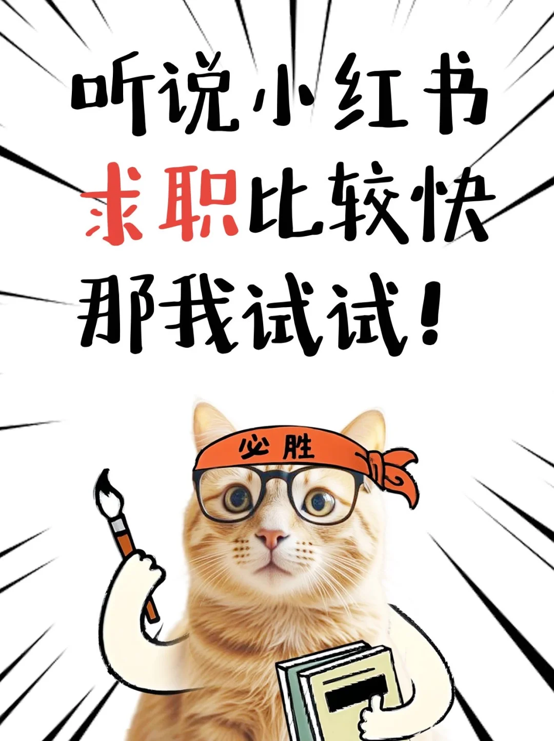 听说小红书求职比较快，那我试试！