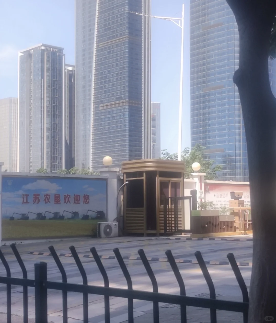 「每周一家南京公司」江苏农垦