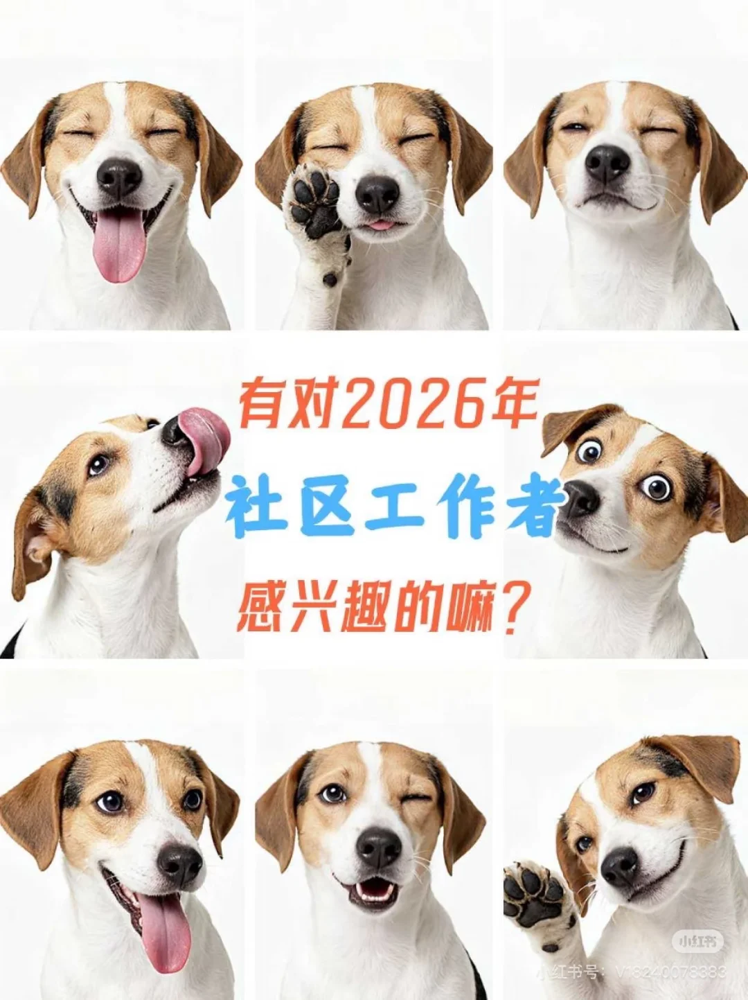 我爱社区工作者们！