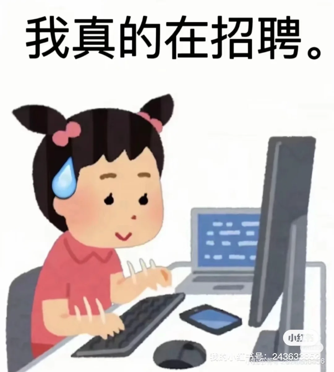 鸡西市招聘！急！！！！