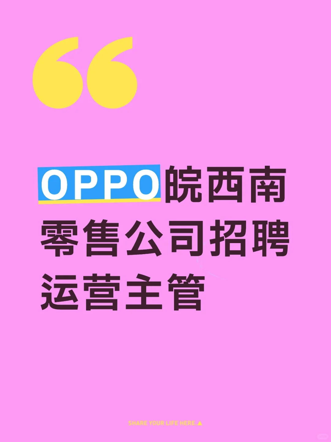 OPPO皖西南零售公司招聘运营主管