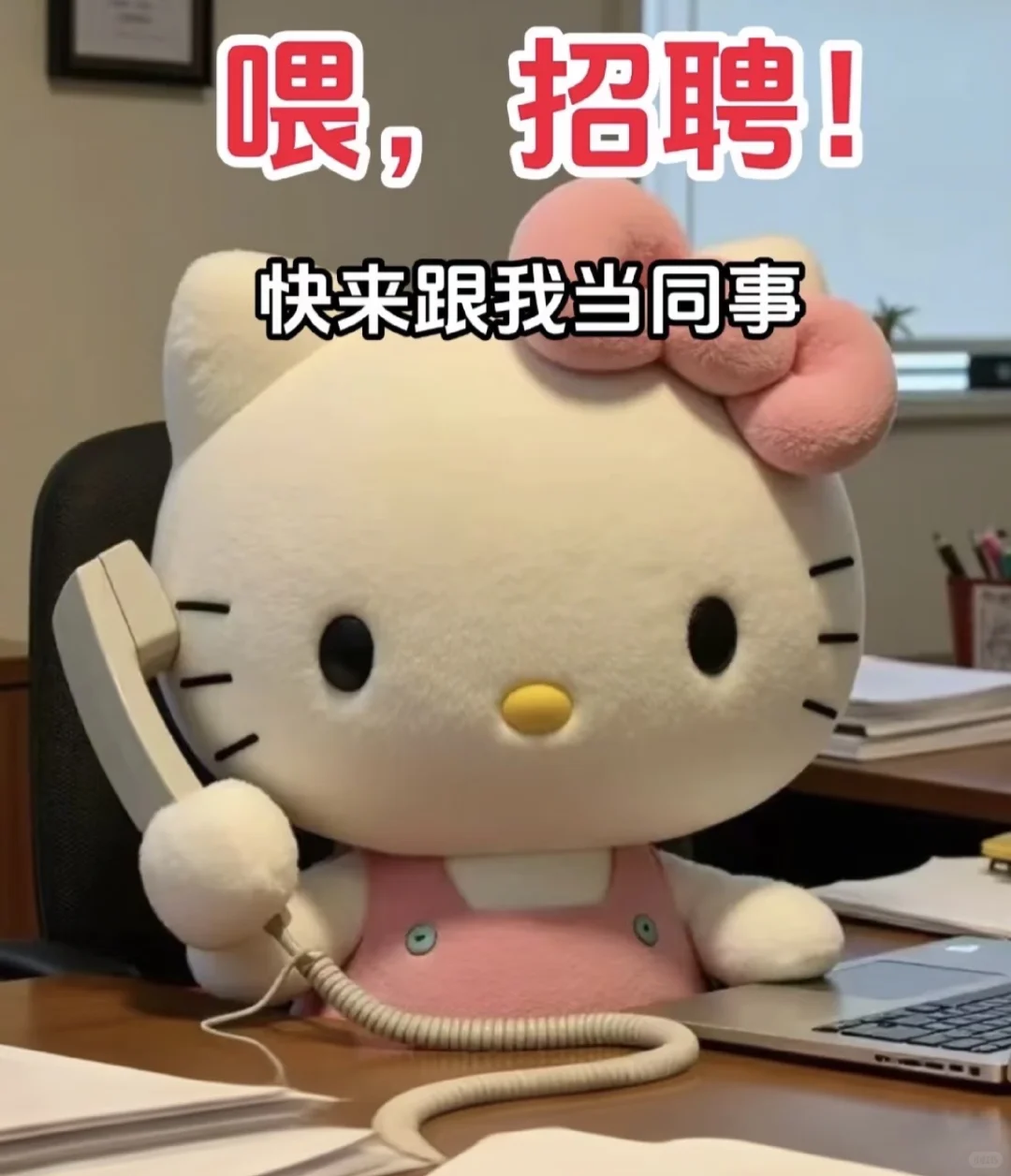 沈阳找不到双休工作？那是因为你没联系我～