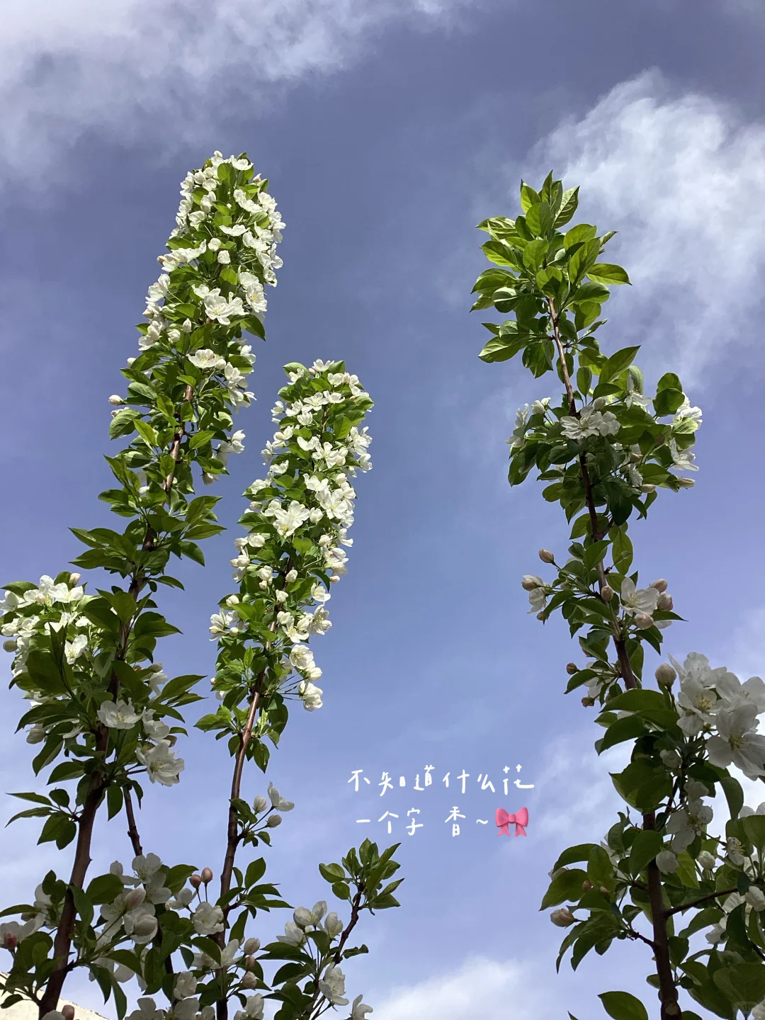 新人博主第2⃣️天｜允许自己笨拙的开始🔁