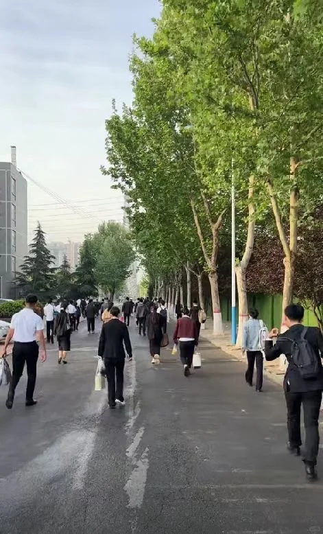姐拼命准备人才引进，就是为了免笔试！！
