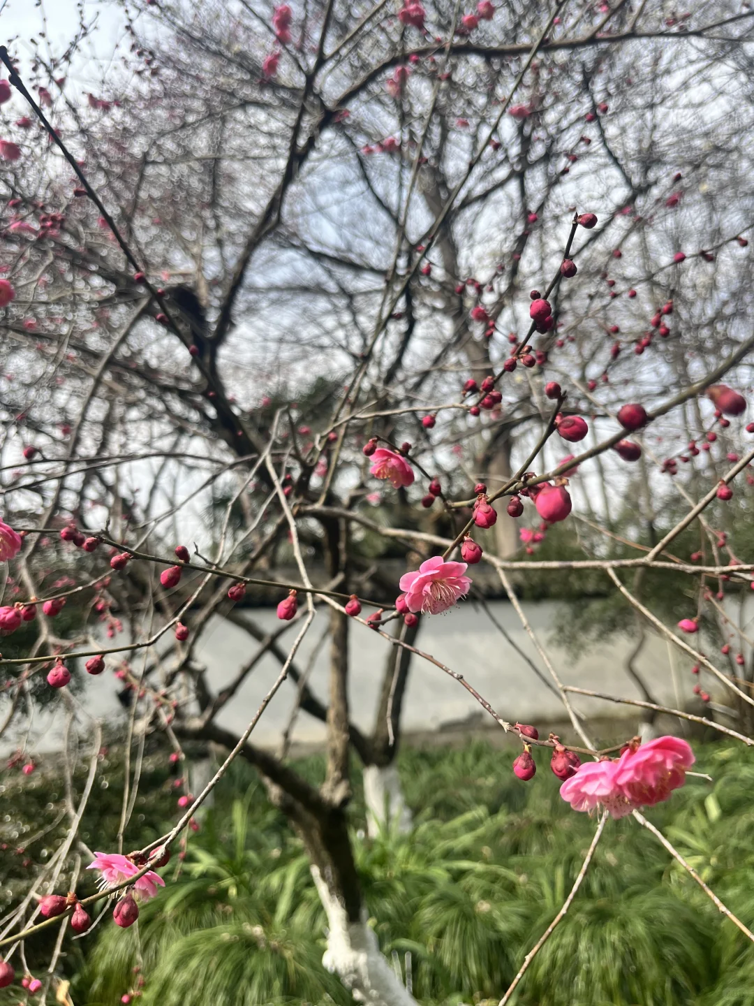 失业的第n+1天