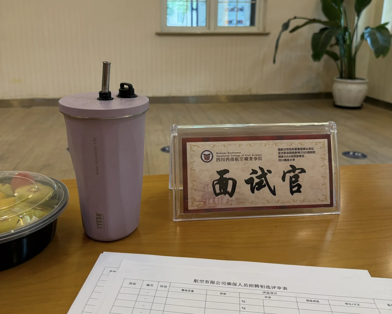 空乘 招聘 形象