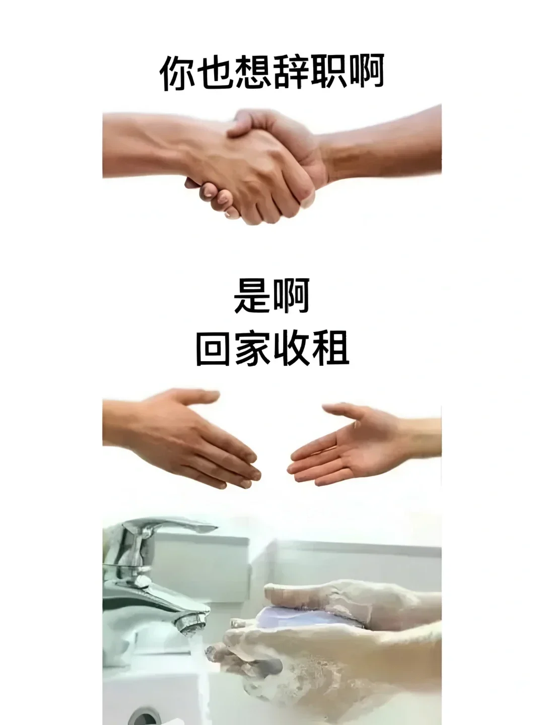 《您已进入人才库》