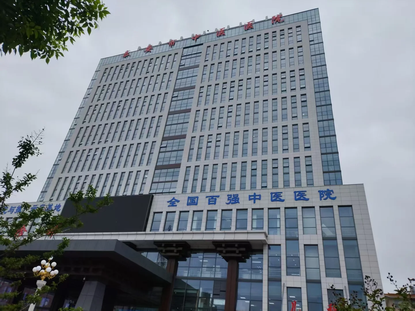 25年市直泰安市中医医院招聘岗位数据分析
