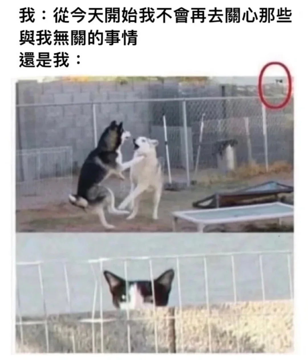 《您已进入人才库》